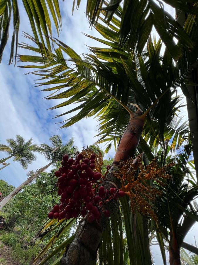 Hawaii Getaway